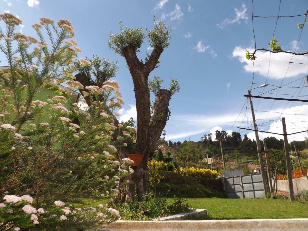 Casa Oliveira Villa Grovelas Dış mekan fotoğraf